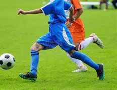 张外龙任重,庆斯威新主,教练,平博体育官网,PINBO,Sports,足球直播,篮球赛事,体育高清,NBA直播