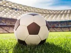 卡纳瓦罗执,掌萨格勒布,迪纳摩教头,平博体育官网,PINBO,Sports,足球直播,篮球赛事,体育高清,NBA直播