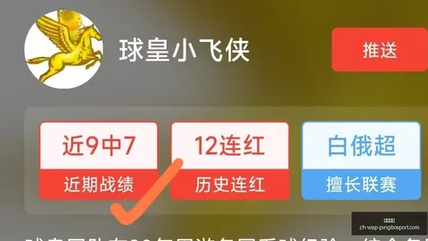 2026世界杯16强，平博体育官网，决战，梅西能否助阿根廷冲进八强